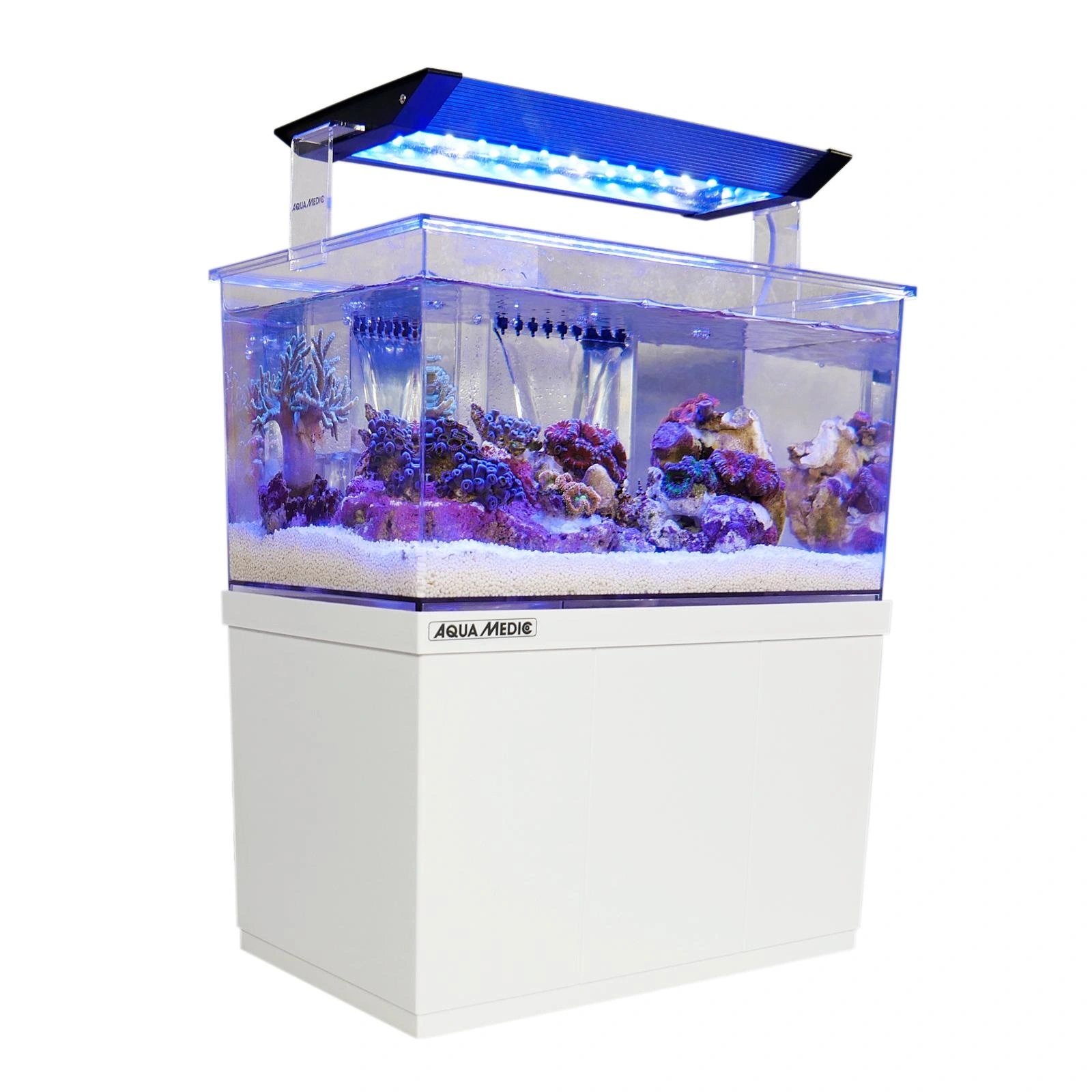 Armatus XS Saltvandsakvarium med sump 4 Liter